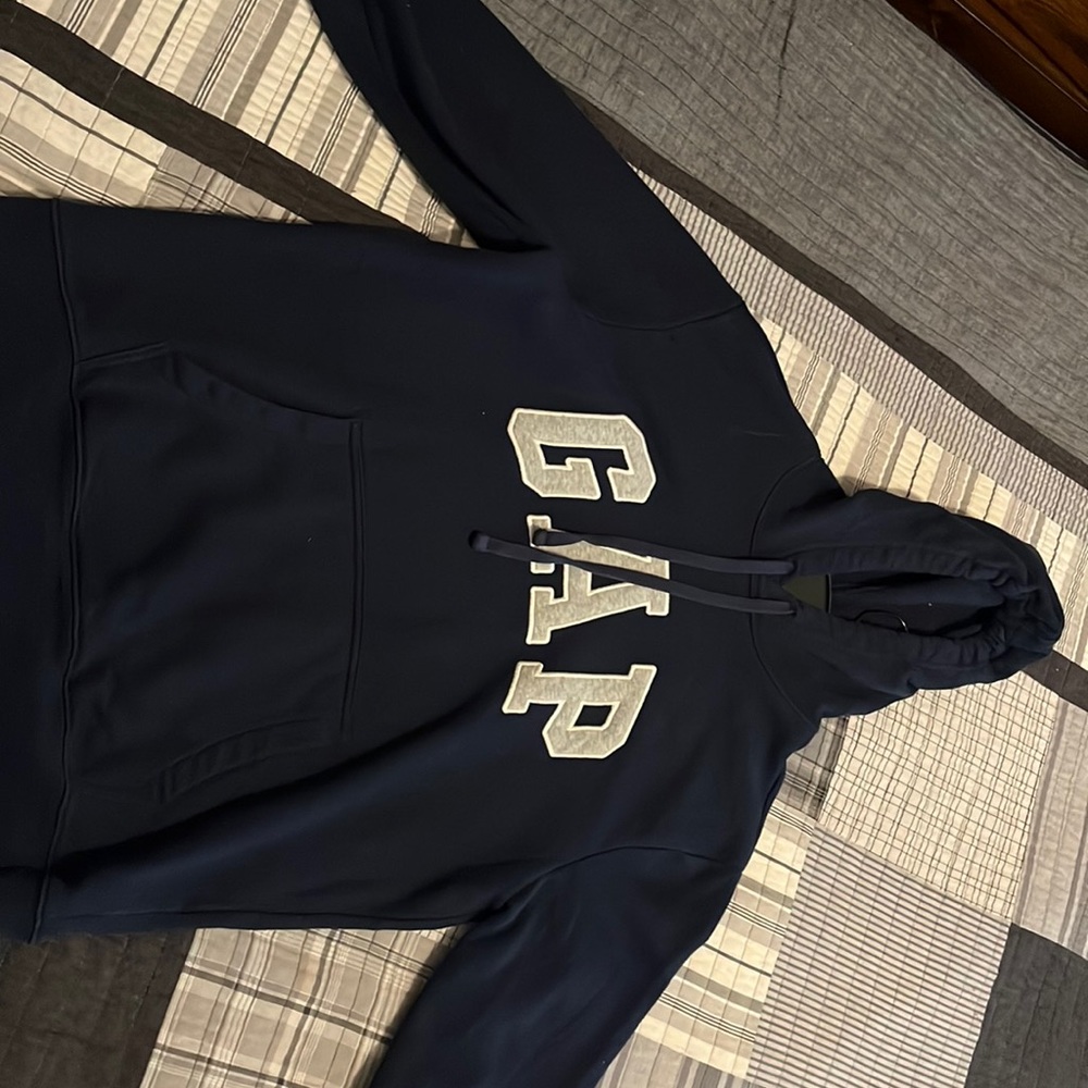 Blue gap hoodie